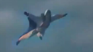 The real footage of the American "Birdman" falling to his death in 1937 was witnessed by nearly 200,