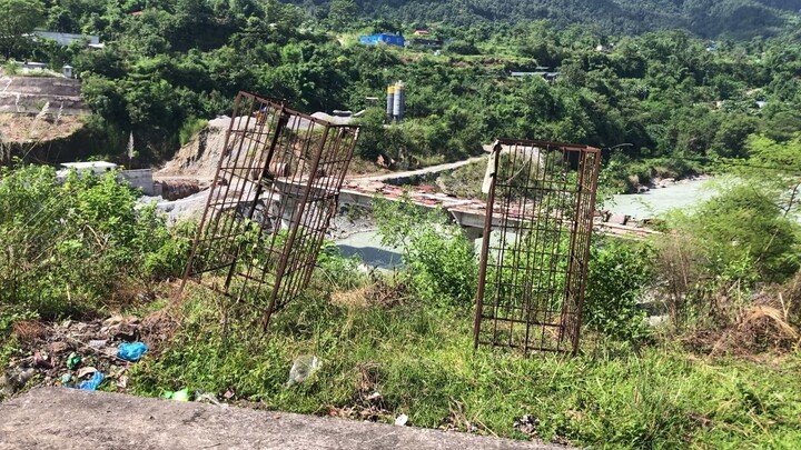 Mystic Beauty of the Jungle