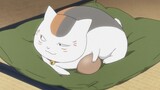 [Natsume Yuujinchou Roku] Lucu dan imut, tidak punya otak~