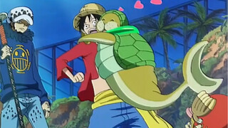 Luffy's first apprentice: Everyone, get out of the way! No one can take my place! I really love the 