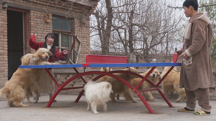 The First Courtyard Table Tennis Masters Tournament