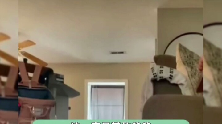 We found a video like this on the male victim’s phone.