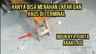 Anak Kucing Jalanan Ini  Sedih Kelaparan Hanya Mainan Sendiri Di Terminal Induknya Punya Anak Lagi.!