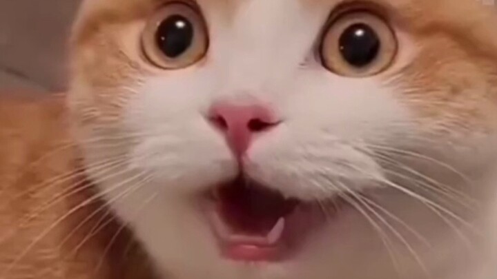 Man, you’re really hard to please.