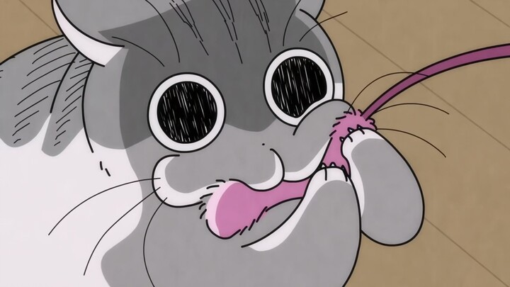 Meow Meow Sleepless Night 39 Newly bought cat toy stick