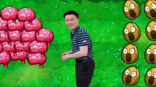 عندما تأكل الأدمغة سراً وتكتشف النباتات