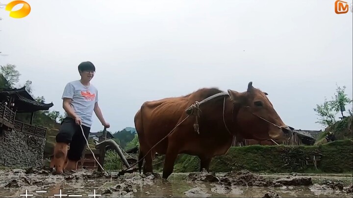[Indo sub] Back to Field S3 E2
