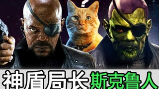 The reason why the big orange cat blinded Nick Fury has been discovered! Is he actually a Skrull?