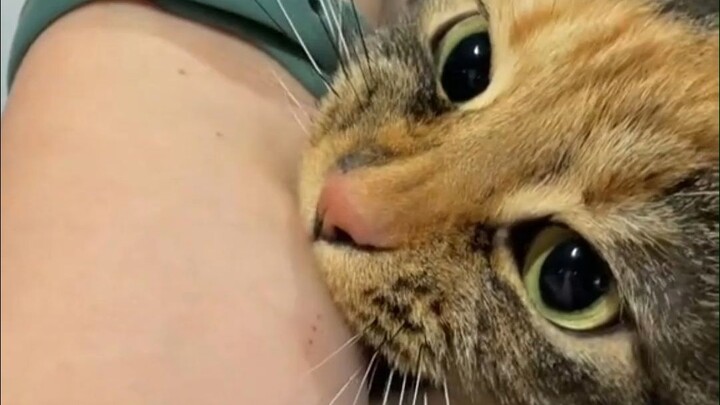 I have to take a bite