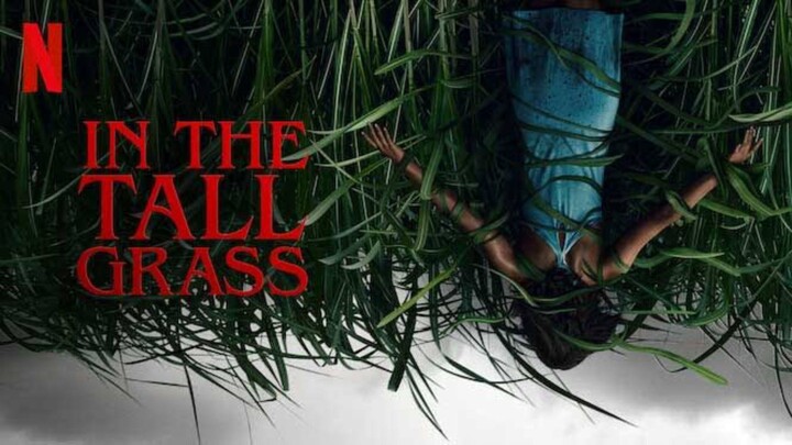 In the Tall Grass (2019) SubIndo