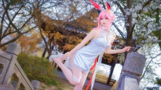 [cos collection] Miss sister cosplay Honkai Impact Sanqipao Yae Sakura, Miss awsl's figure is too good!