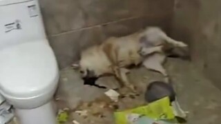 Cảnh cô gái hộp đêm kiểm tra