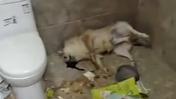 Adegan cek-out cewek di klub malam