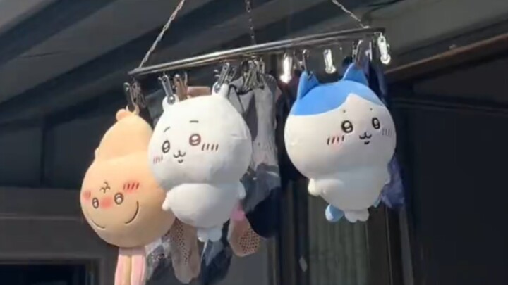 我家乌萨奇怎么是倒挂的啊