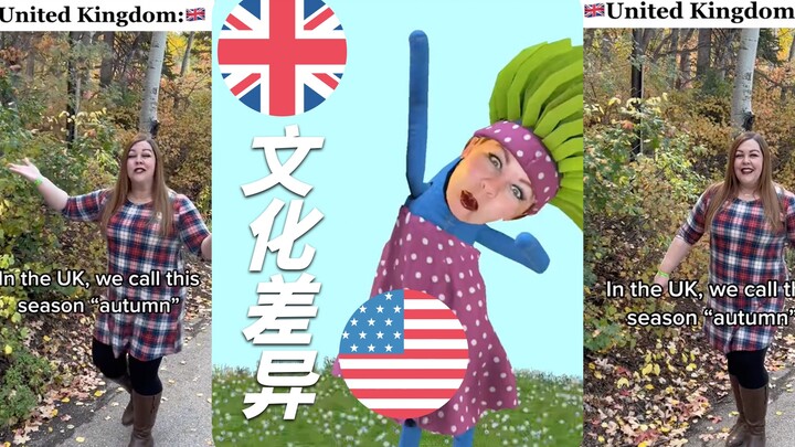 Cultural Differences Between the UK and the US: The Same Thing Has Different Names‼️