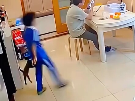 小猫与人相处的美好瞬间