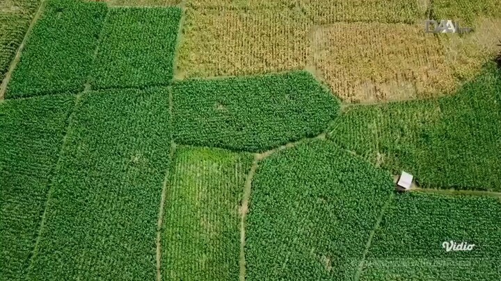 DAAI TV: From Indonesia with Love "Areas in East Java" (English Subtitle)