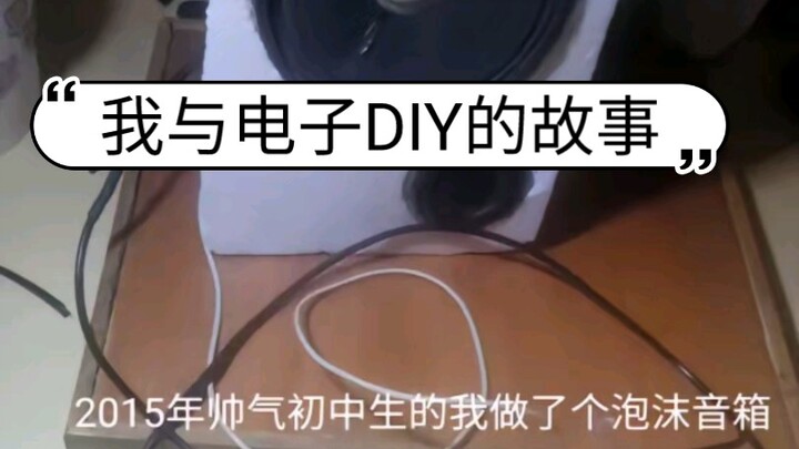 My Story with Electronic DIY