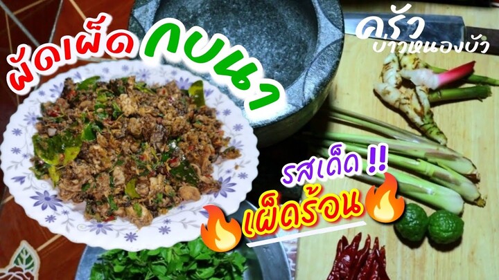 EP333ผัดเผ็ดกบนา สูตรนี้เด็ดเผ็ดร้อน ไม่มีความคาวแน่นอน