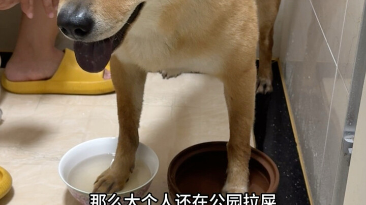 Athlete’s foot dog
