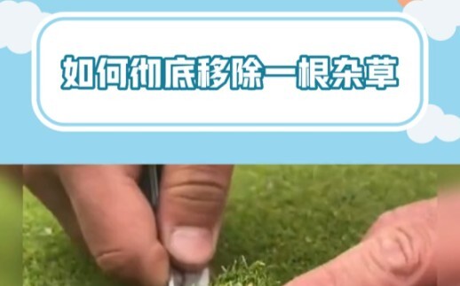 مريح جدًا # مهدئ لاضطراب الوسواس القهري # فيديو مُخفِّف للتوتر #