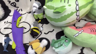 Let me show you my shark family!