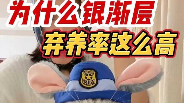 Why Is the Abandonment Rate So High for “Evil Silver Tabby” Cats?