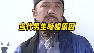 “当代男生晚婚原因”