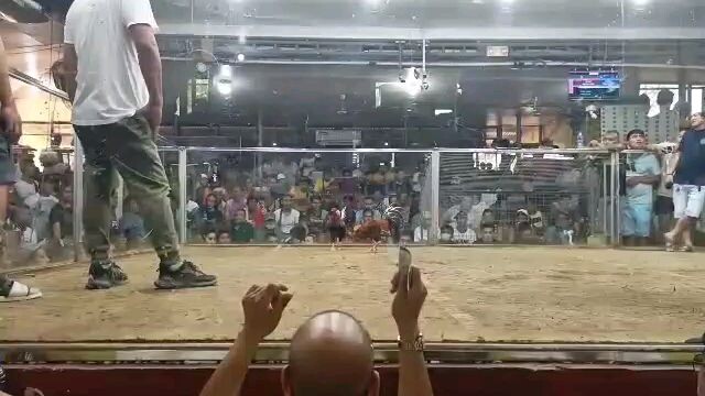 March 16, 2025, Hack Fight @Tinurik Mini Cockpit. 🐓-W