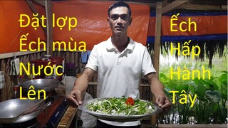 66 | Quê Hương Miền Tây | khám Phá | Săn Bắt | Ẩm Thực | Đặt lợp ếch mùa nước lên | frog