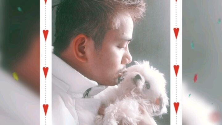 Do you love your furbabies How often?