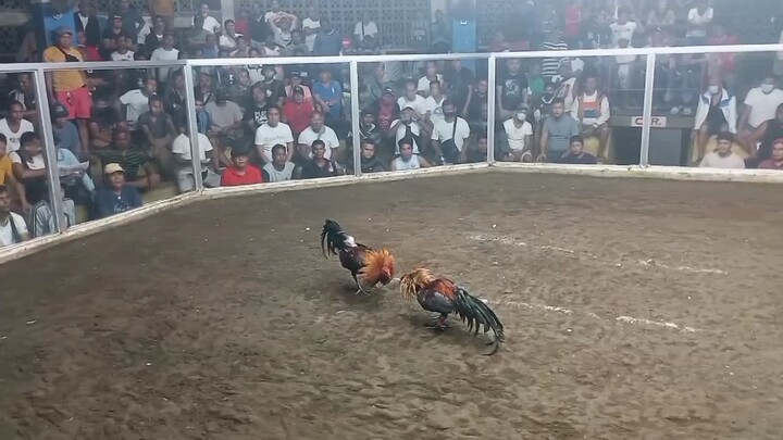 2nd Exam(alimboyugin)WIN 2HITS NIGHTTIME(CHAMPION)