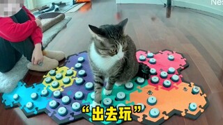 因为好宝宝，所以出去玩