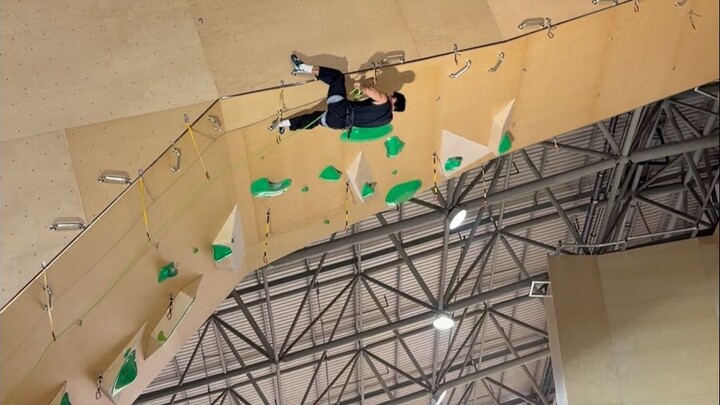 هل هذا البرص على الحائط؟