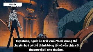 Top 10 Trái Logia Mạnh Nhất One Piece #26- 13