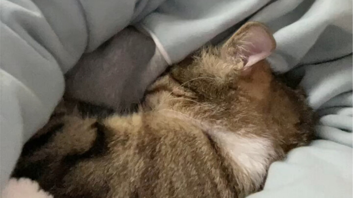 ใครเข้าใจบ้างนะ ร่างเล็กนุ่มๆ อุ่นๆ นอนพิงอยู่ข้างๆ คุณ! หัวใจแทบละลายเลย!