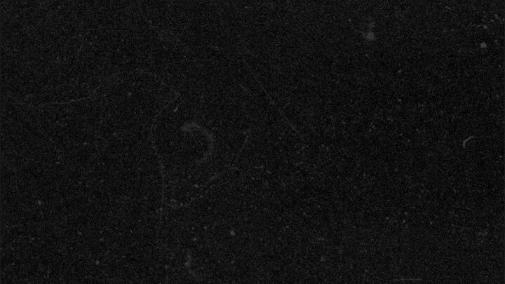 boleh menyuruh saya tapi jangan pakai membentak 🙏