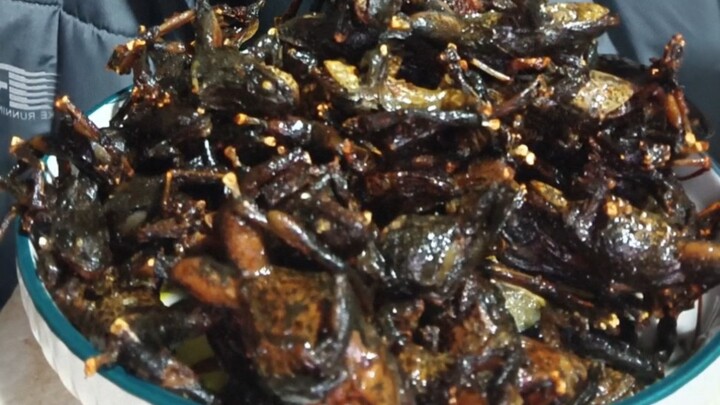 Mainan ini bener-bener keren abis!