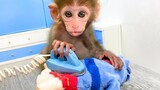 Baby monkey Bon Bon goes to do the laundry and playing with the puppy