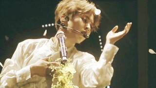 【1080p】190417 Xiumin solo - Butterfly Girl (Don't go) @MAGICAL CIRCUS 2019