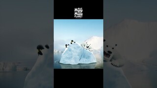 Polar bear & Penguin - MOGMOG PLANET Observation Diary | It's Anime #shorts #anime #animals