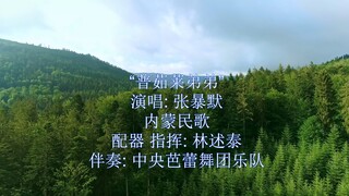 "普茹莱弟弟" 演唱: 张暴默 内蒙民歌 配器 指挥: 林述泰 伴奏: 中央芭蕾舞团乐队 中国录音录像公司录制