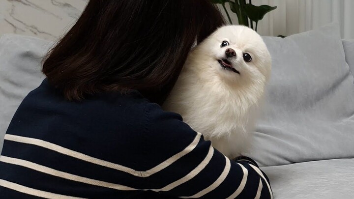 Hugged the Pomeranian without saying a word—what was its reaction?