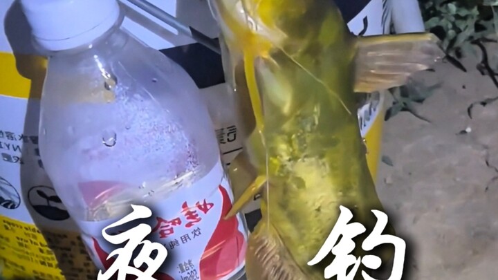 هل يجب أن تهرب إذا صادفت هذه الأشياء أثناء الصيد؟ هل سبق لأي من رفاق الصيد أن اصطاد الشيء الأخير؟ تع