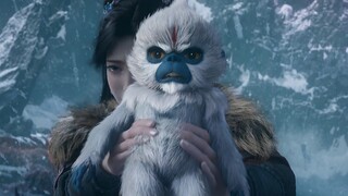 小猴子满脸骄傲，几人终于是出去了！