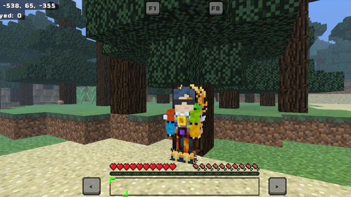 minecraft (1)
