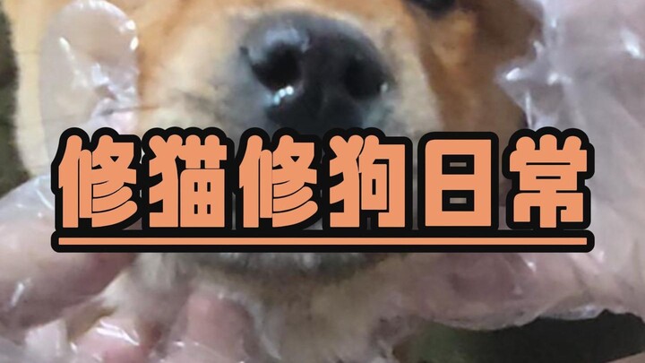 Cuộc sống thường ngày vui vẻ!!