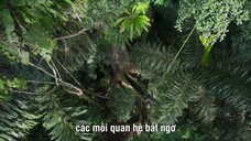 Hành Tinh Trái Đất 3 EP 5 [Sub Việt]