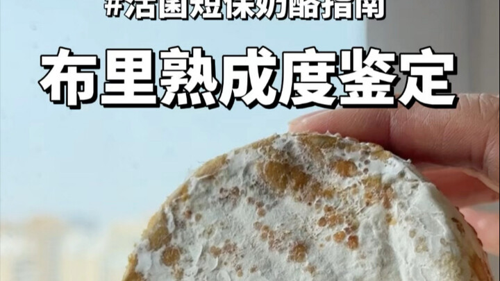 Panduan “Identifikasi Hidup” Keju Brie Prancis dengan Umur Simpan Pendek