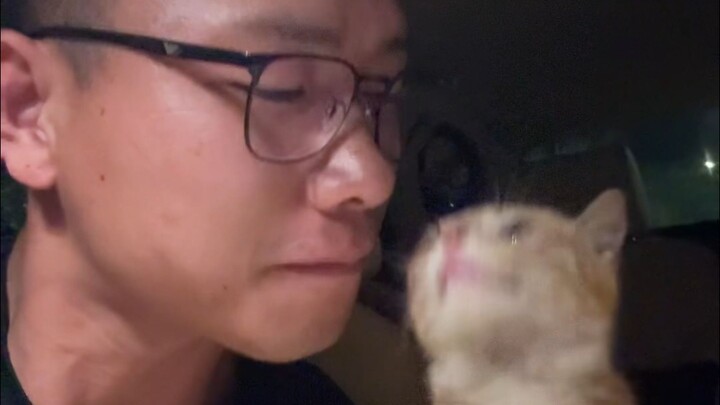 อย่าเผลอโอบกอดแล้วจุ๊บแมวจรเด็ดขาด!